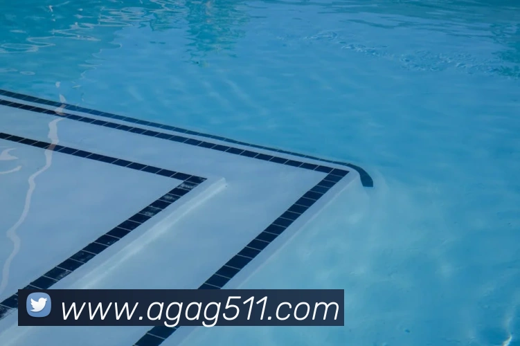 电竞直播专区